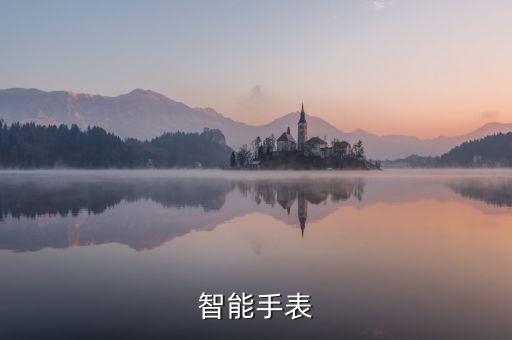 智能手表