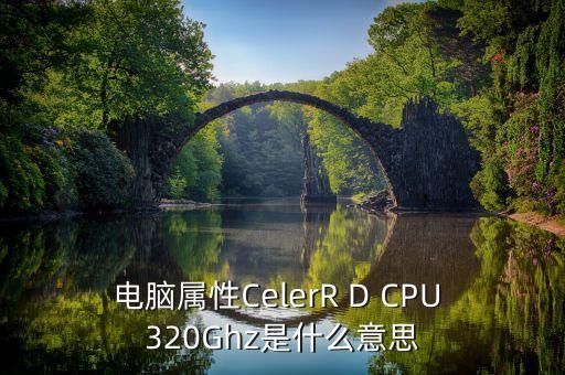 celer，電腦屬性CelerR D CPU 320Ghz是什么意思