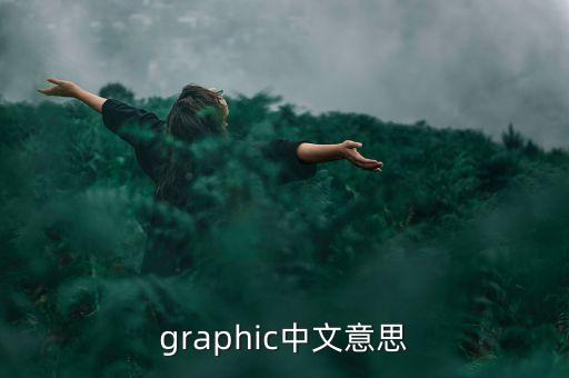 graphic中文意思
