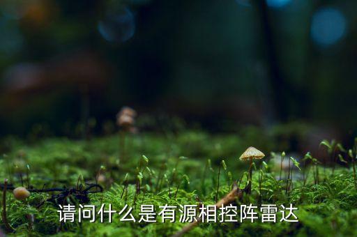 請(qǐng)問什么是有源相控陣?yán)走_(dá)