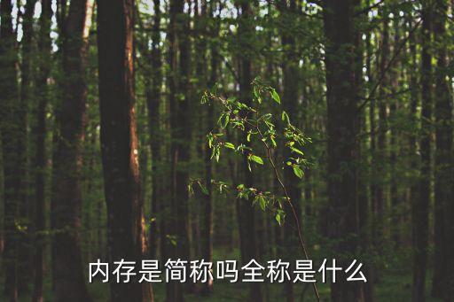 內(nèi)存是簡(jiǎn)稱嗎全稱是什么