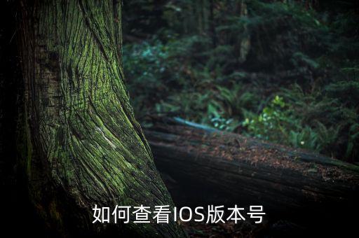 如何查看IOS版本號