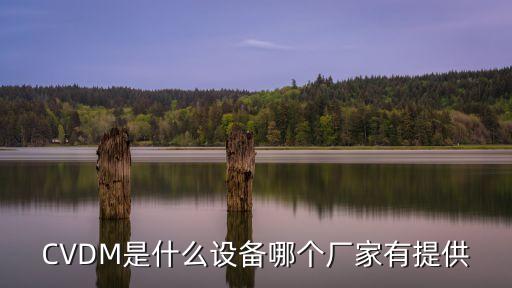 步態(tài)分析設(shè)備，CVDM是什么設(shè)備哪個廠家有提供