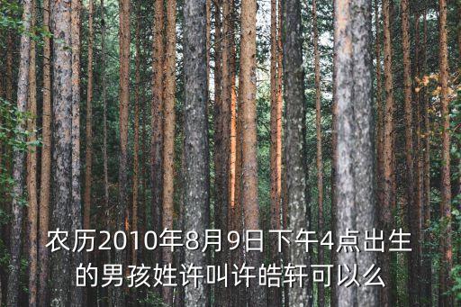 許皓，農(nóng)歷2010年8月9日下午4點(diǎn)出生的男孩姓許叫許皓軒可以么