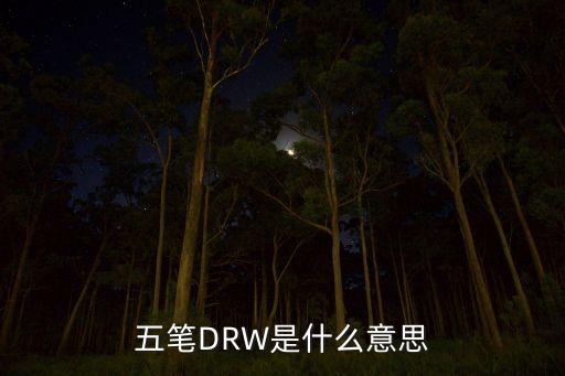 五筆DRW是什么意思