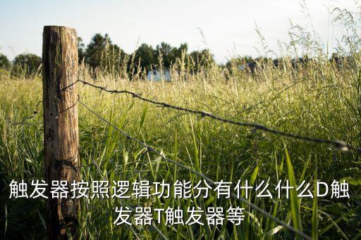觸發(fā)器按照邏輯功能分有什么什么D觸發(fā)器T觸發(fā)器等