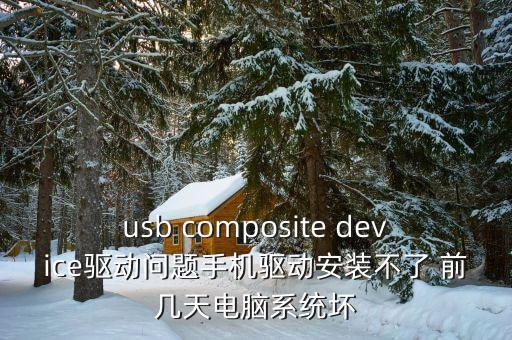 usb composite device驅(qū)動問題手機(jī)驅(qū)動安裝不了 前幾天電腦系統(tǒng)壞