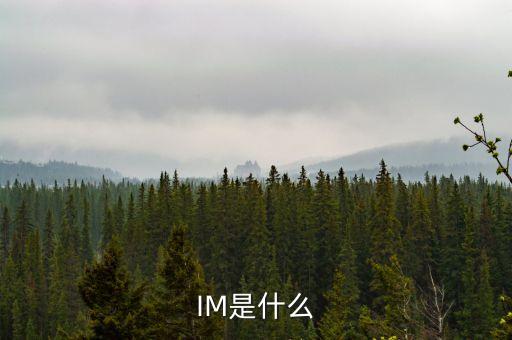 IM是什么