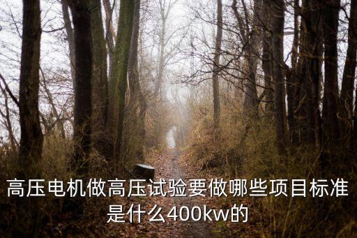 高壓電器試驗(yàn)，6KV的高壓電機(jī)需要做哪些試驗(yàn)