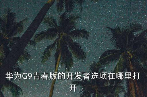 華為G9青春版的開(kāi)發(fā)者選項(xiàng)在哪里打開(kāi)