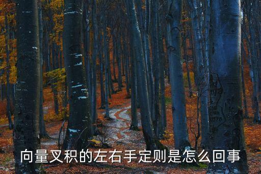 向量叉積的左右手定則是怎么回事