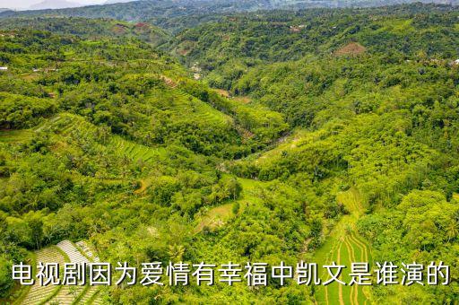 電視劇因?yàn)閻矍橛行腋Ｖ袆P文是誰(shuí)演的
