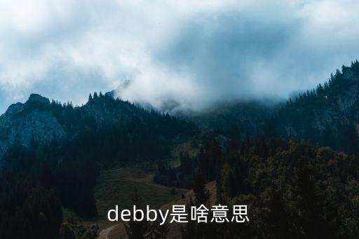 adb是什么意思，小米電視ADB調(diào)試是什么