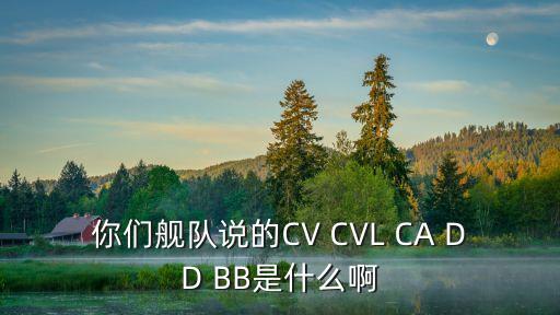 你們艦隊(duì)說(shuō)的CV CVL CA DD BB是什么啊