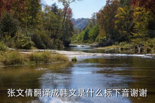 張文倩，張文倩的名字用韓語怎么寫