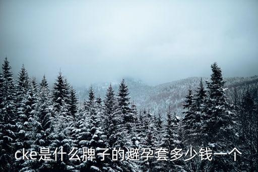 cke，cke是什么牌子的避孕套多少錢(qián)一個(gè)