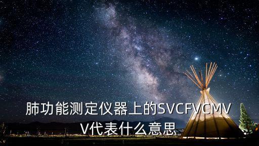 肺功能測定儀器上的SVCFVCMVV代表什么意思