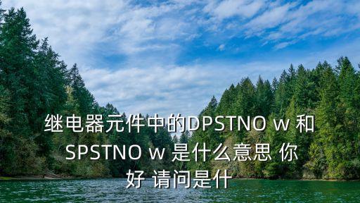 dpst，繼電器元件中的DPSTNO w 和 SPSTNO w 是什么意思 你好 請(qǐng)問是什