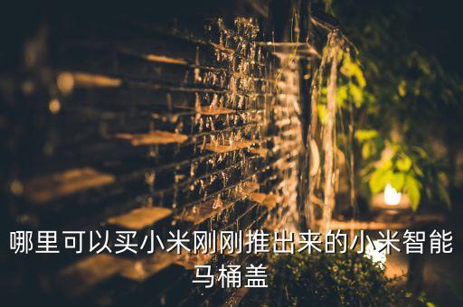 哪里可以買小米剛剛推出來的小米智能馬桶蓋