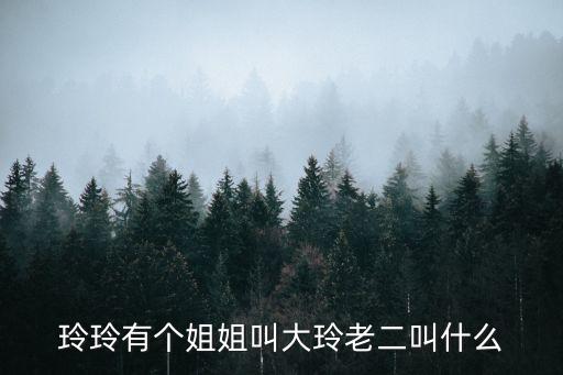 玲玲有個(gè)姐姐叫大玲老二叫什么