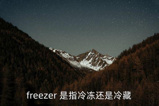 freezer 是指冷凍還是冷藏