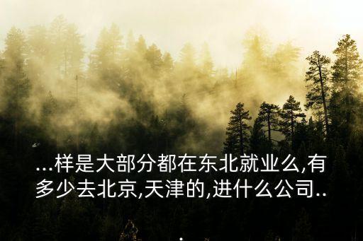 ...樣是大部分都在東北就業(yè)么,有多少去北京,天津的,進(jìn)什么公司...