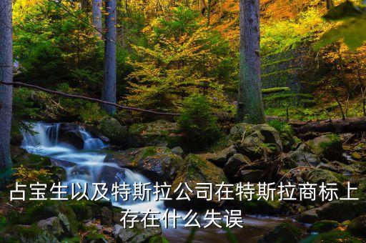 占寶生以及特斯拉公司在特斯拉商標上存在什么失誤