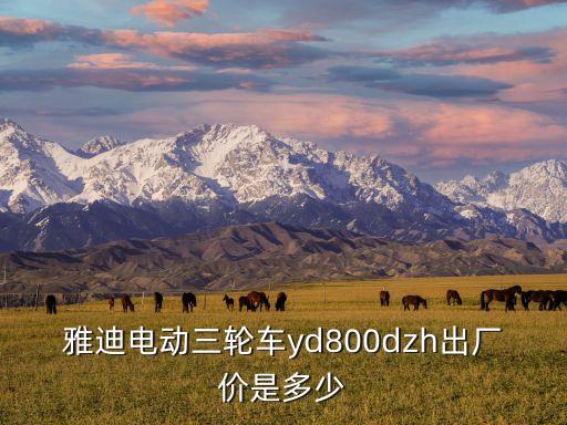 雅迪電動三輪車yd800dzh出廠價(jià)是多少