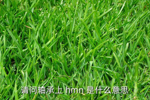 hmn，HMN猜一人名誰會