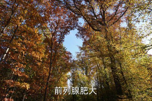 張士偉，張士偉是怎樣的一個人