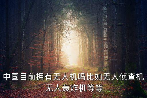 中國(guó)目前擁有無(wú)人機(jī)嗎比如無(wú)人偵查機(jī) 無(wú)人轟炸機(jī)等等