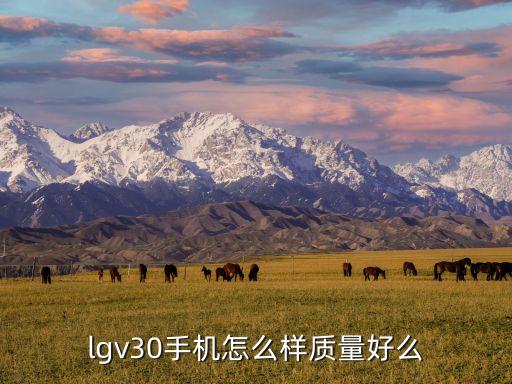 lgv30手機怎么樣質(zhì)量好么