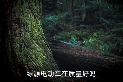 綠源電動車質(zhì)量怎么樣，綠源電動車怎么樣質(zhì)量怎么樣
