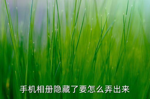 手機(jī)相冊(cè)隱藏了要怎么弄出來(lái)