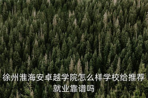 徐州淮海安卓越學(xué)院怎么樣學(xué)校給推薦就業(yè)靠譜嗎