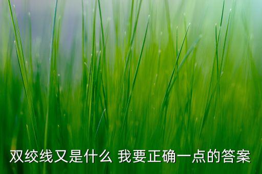 雙絞線又是什么 我要正確一點(diǎn)的答案