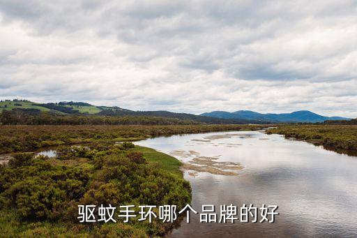驅(qū)蚊手環(huán)哪個(gè)品牌的好