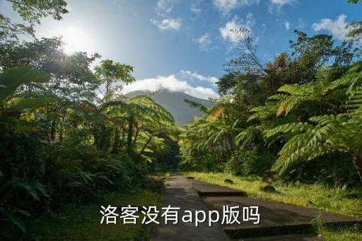 洛客沒有app版嗎