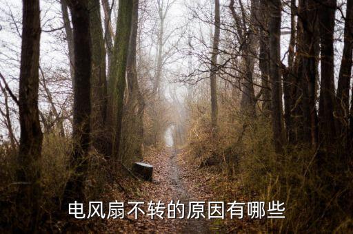 電風扇不轉(zhuǎn)，電風扇不轉(zhuǎn)了