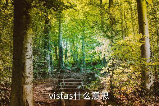 vistas，我的VISTAS是家庭普通版可以升級WIN7嗎
