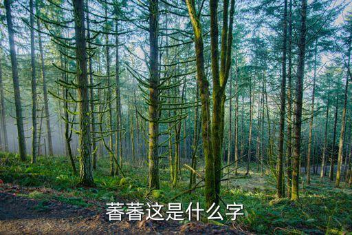 萫萫這是什么字