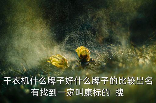 干衣機(jī)什么牌子好什么牌子的比較出名有找到一家叫康標(biāo)的  搜