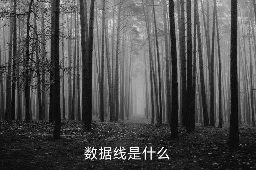 數(shù)據(jù)線是什么，數(shù)據(jù)線是什么