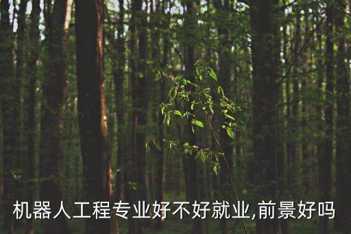機器人行業(yè)算法工程師,算法工程師有哪些分類?