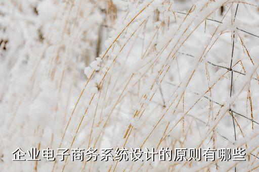 企業(yè)電子商務系統(tǒng)設計的原則有哪些
