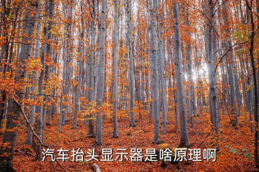 汽車抬頭顯示器是啥原理啊