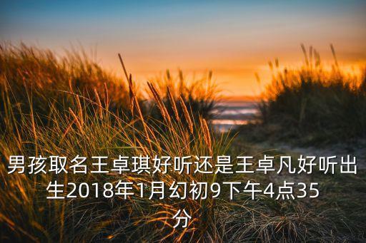 男孩取名王卓琪好聽還是王卓凡好聽出生2018年1月幻初9下午4點35分
