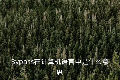 bypass，bypass是什么意思及用法