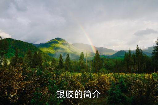 銀膠，銀膠的簡介
