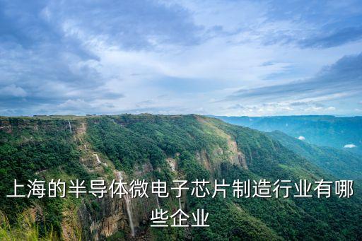 上海的半導(dǎo)體微電子芯片制造行業(yè)有哪些企業(yè)